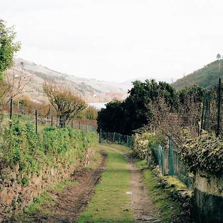 Quinta Das Casas - Douro Winery & Villas Вила-Реал Экстерьер фото