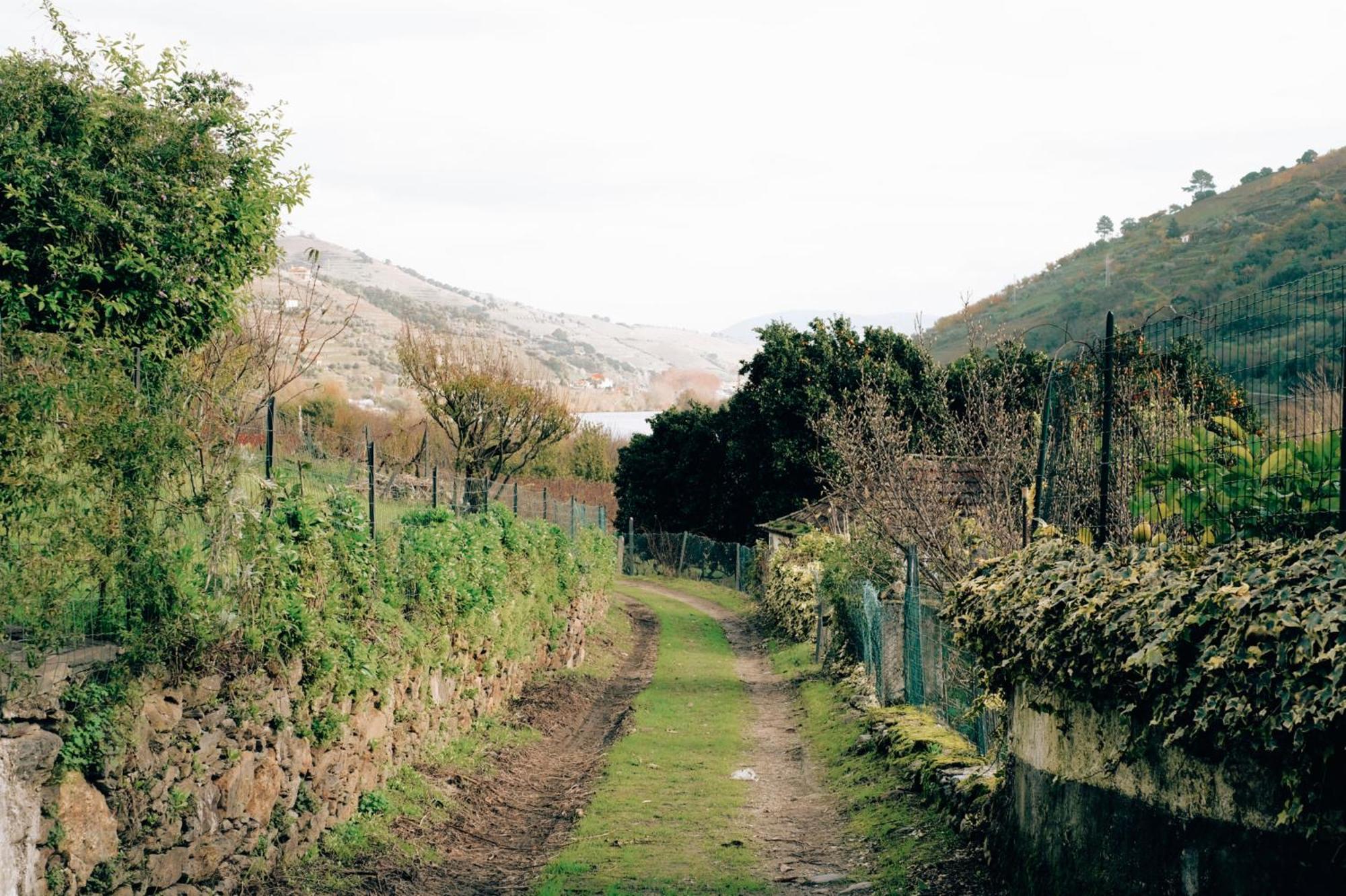 Quinta Das Casas - Douro Winery & Villas Вила-Реал Экстерьер фото